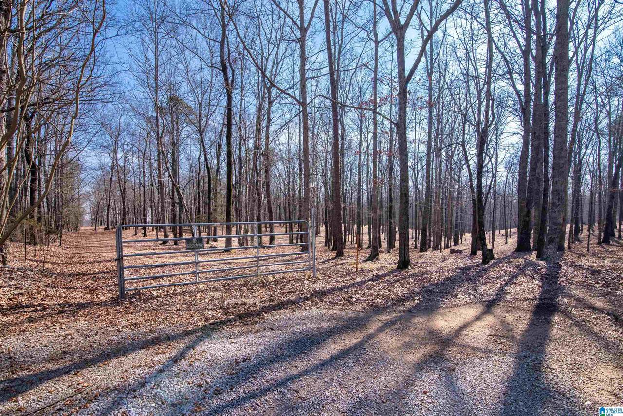 0 Apple Grove Road - Photo 1