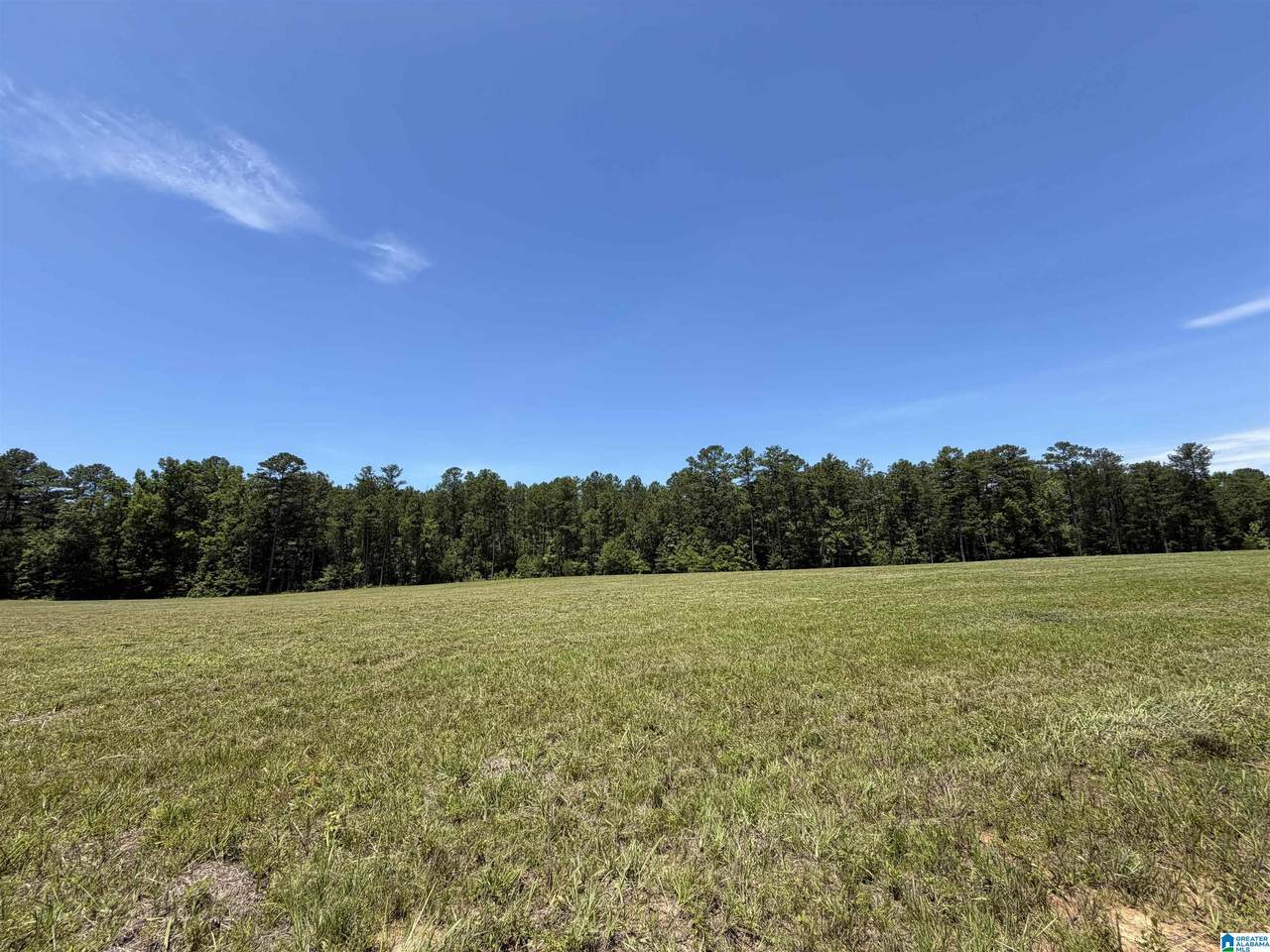Lot 2 Cedar Springs Drive - Photo 1