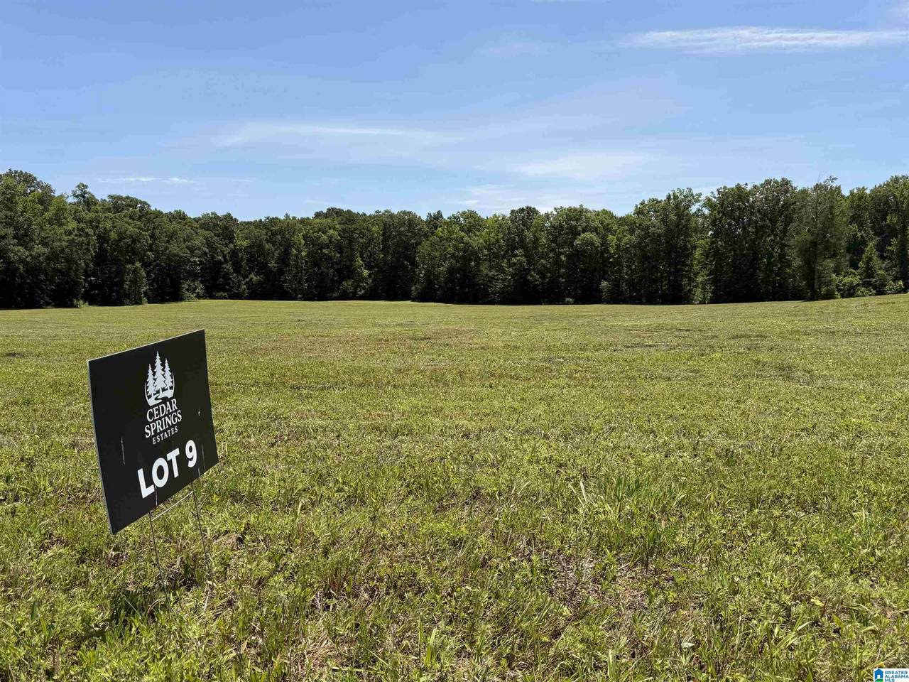 Lot 9 Cedar Springs Drive - Photo 1