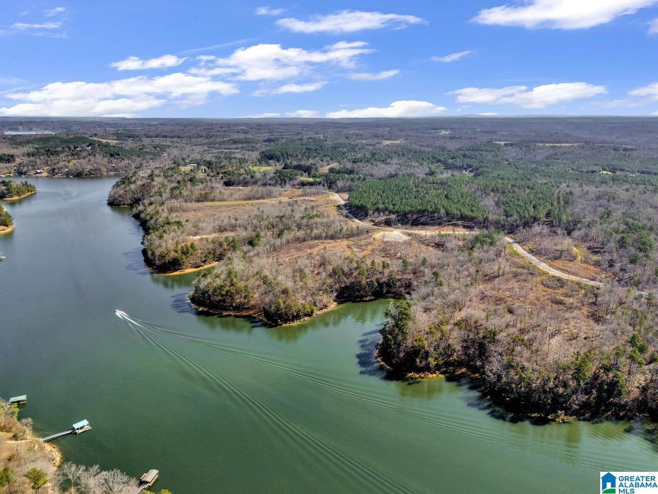 0 County Road 102 - Photo 1