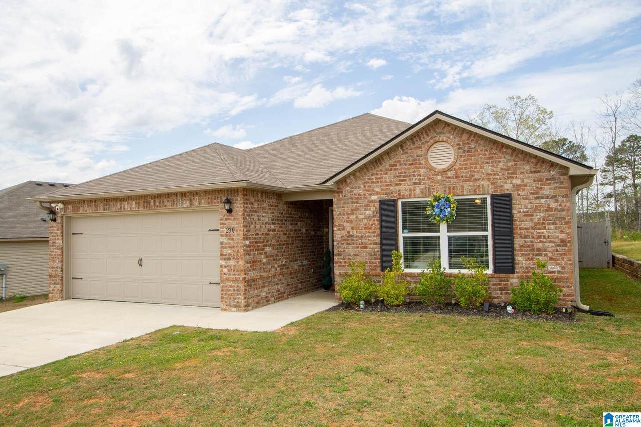 230 Andrew Lane - Photo 1