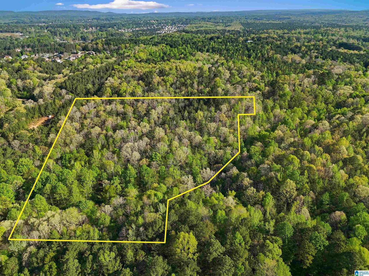 Off of Magnolia Crest Way - Photo 1