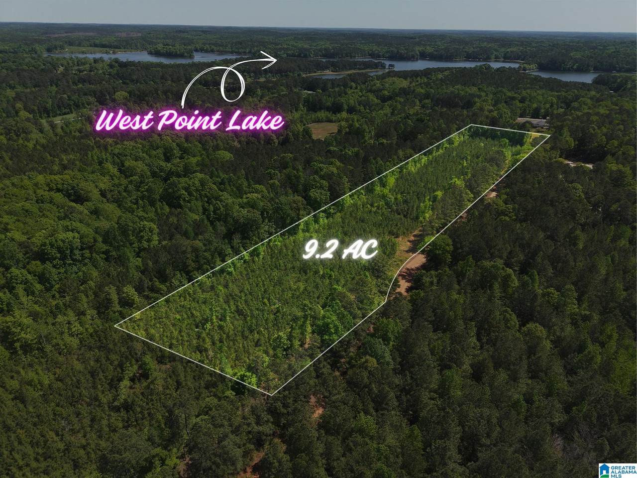 0 County Road 266 - Photo 1