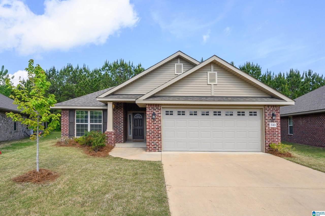 340 Black Creek Trail - Photo 1
