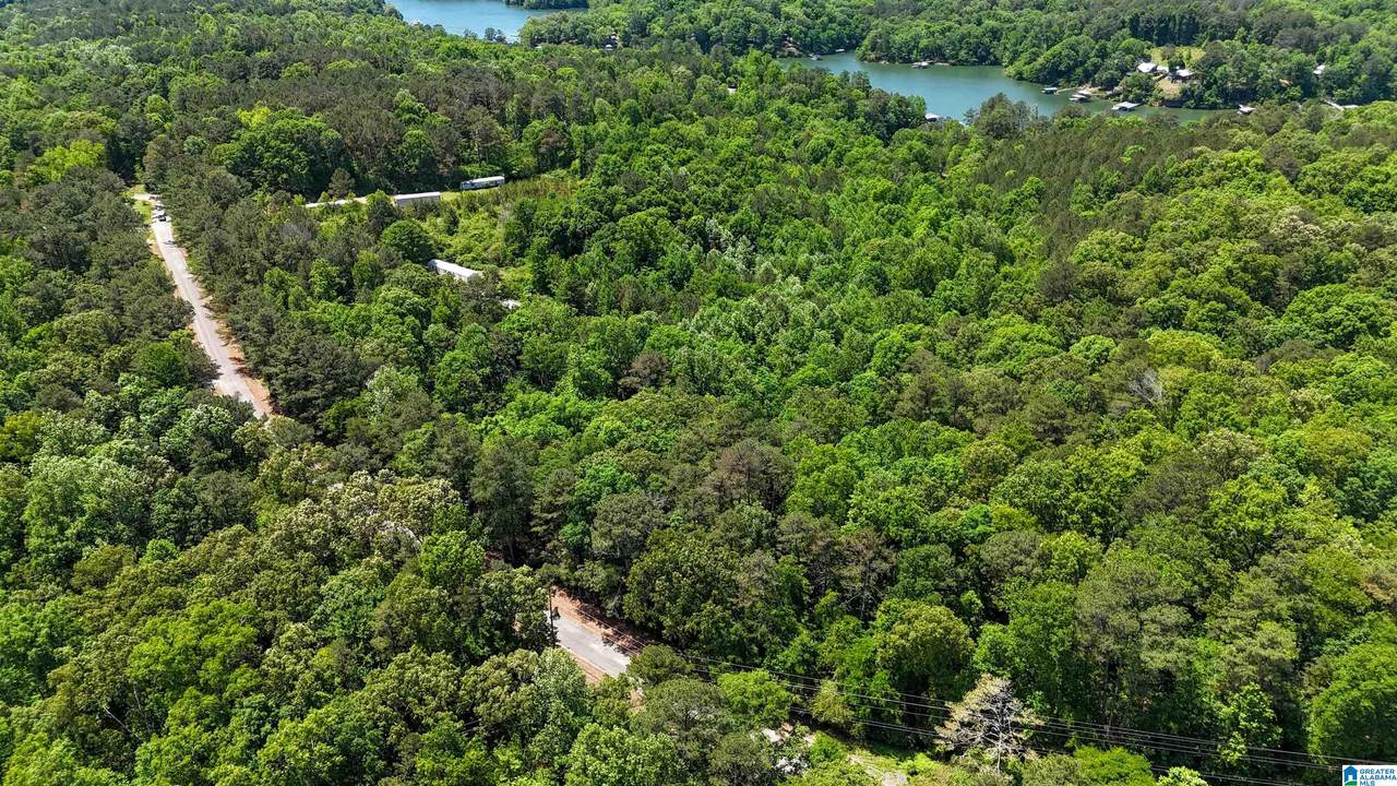 2976 County Road 351 - Photo 1