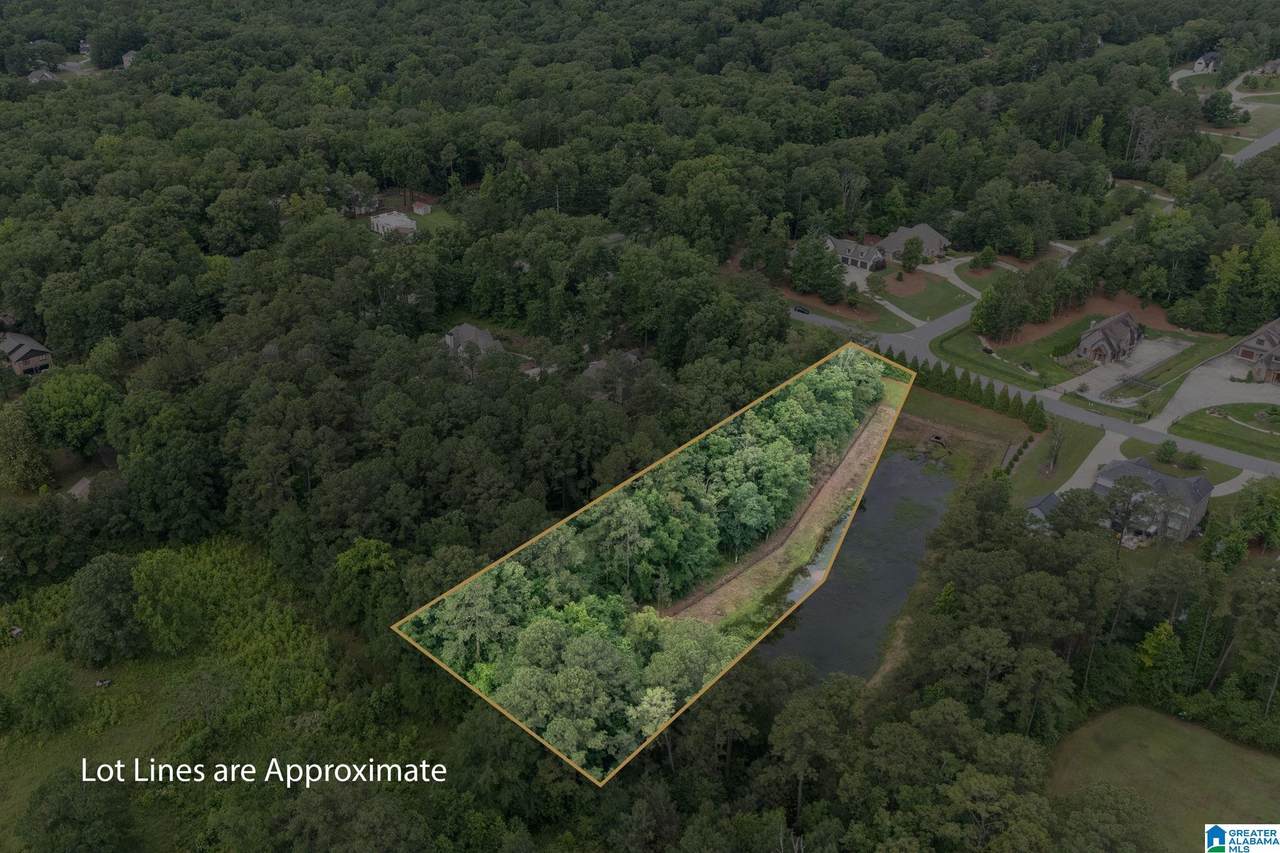 108 Foliage View Road - Photo 1