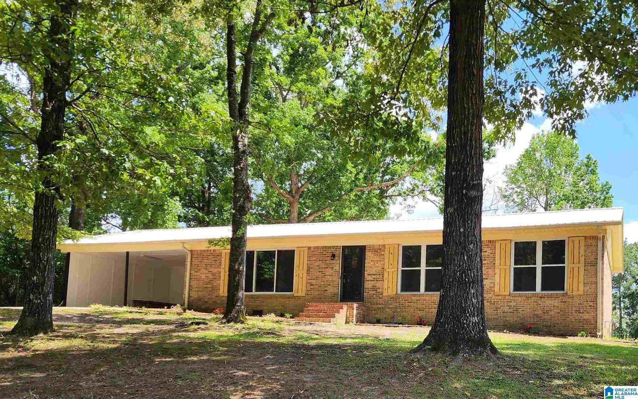20595 Faynell Circle - Photo 1