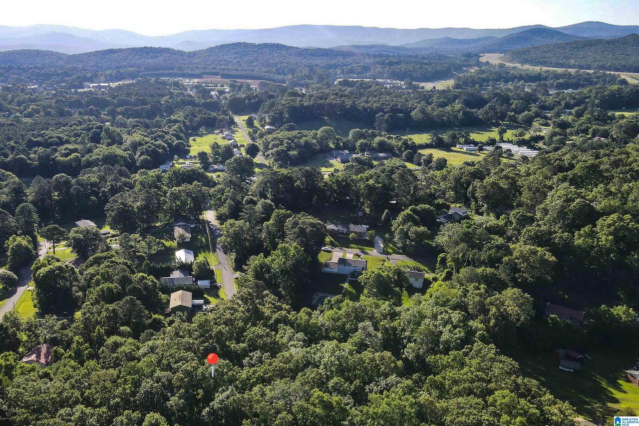 0 Glade View Drive - Photo 1