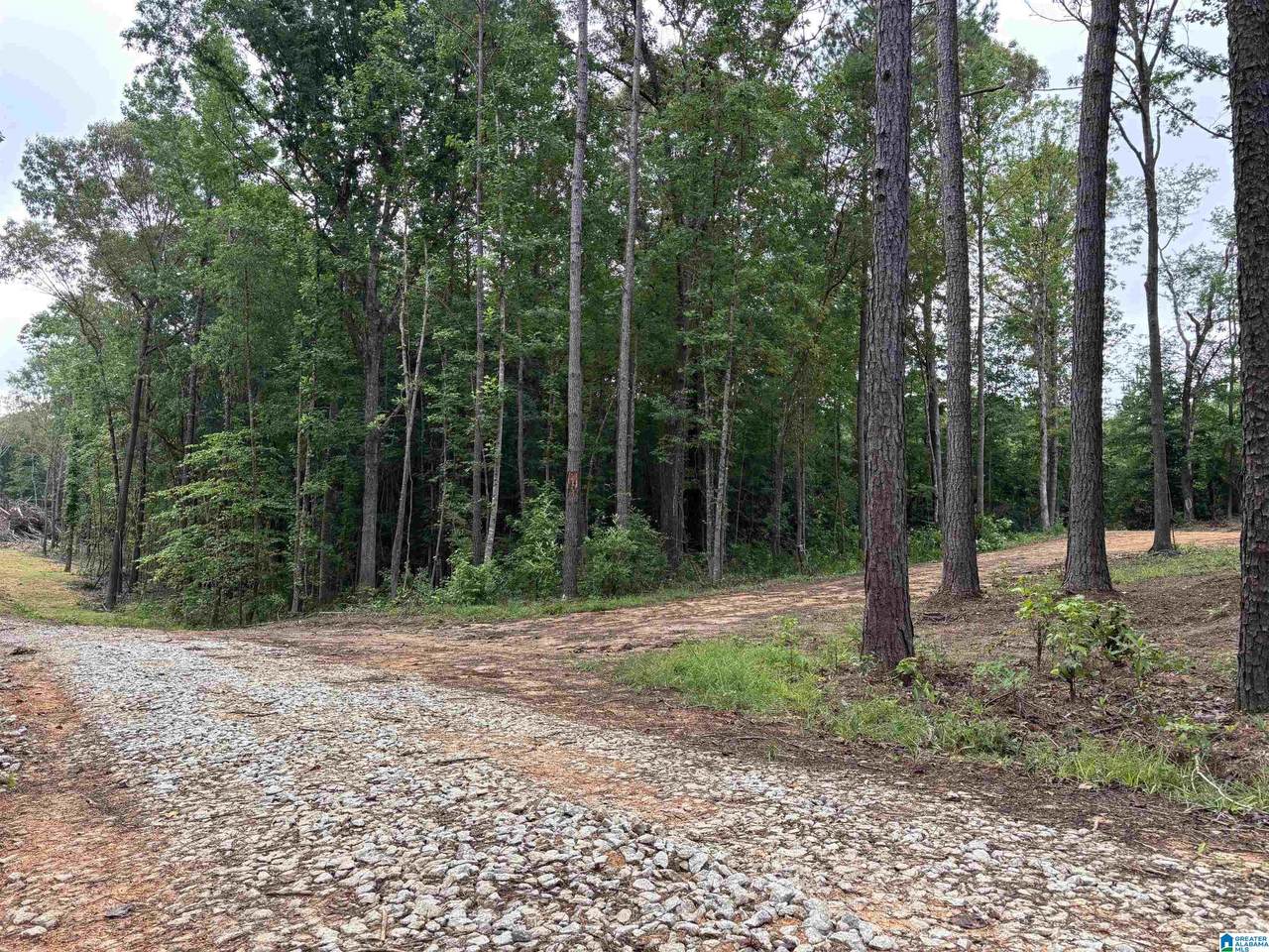Tract 1 343 County Road 892 - Photo 1