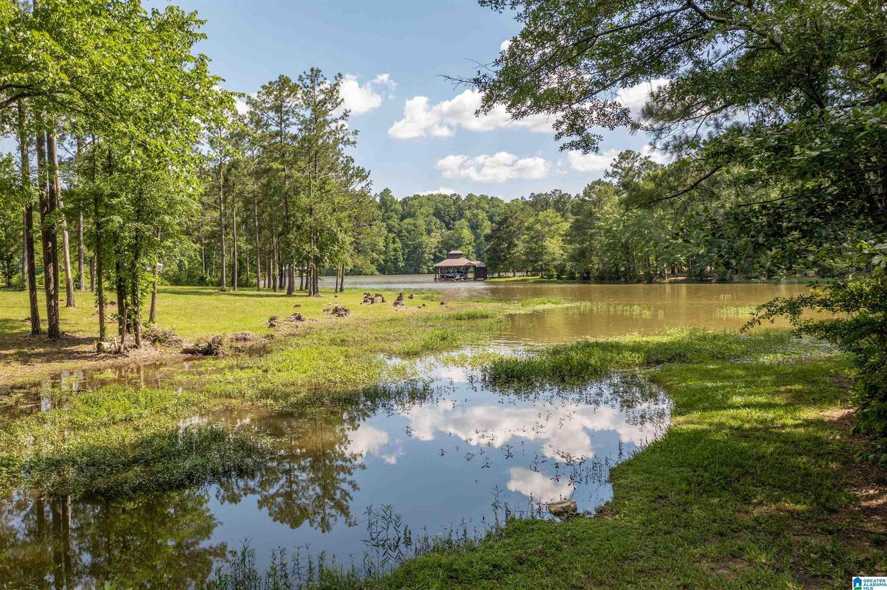 89 Golden Pond Road - Photo 1