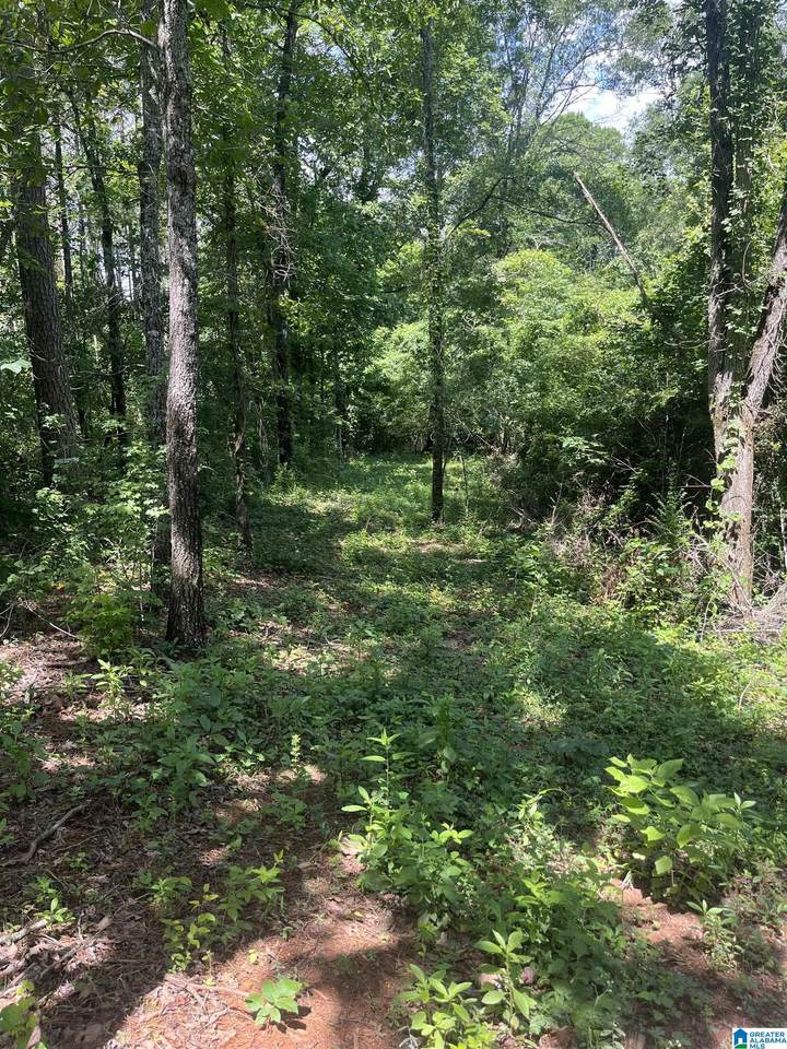385 Carr Road - Photo 1