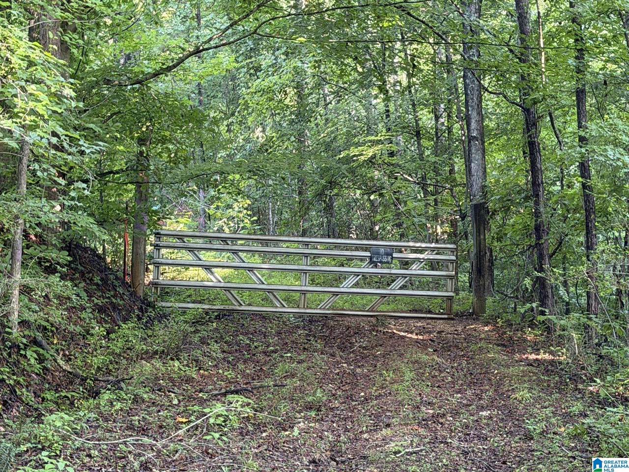 455 Oak Grove Road - Photo 1