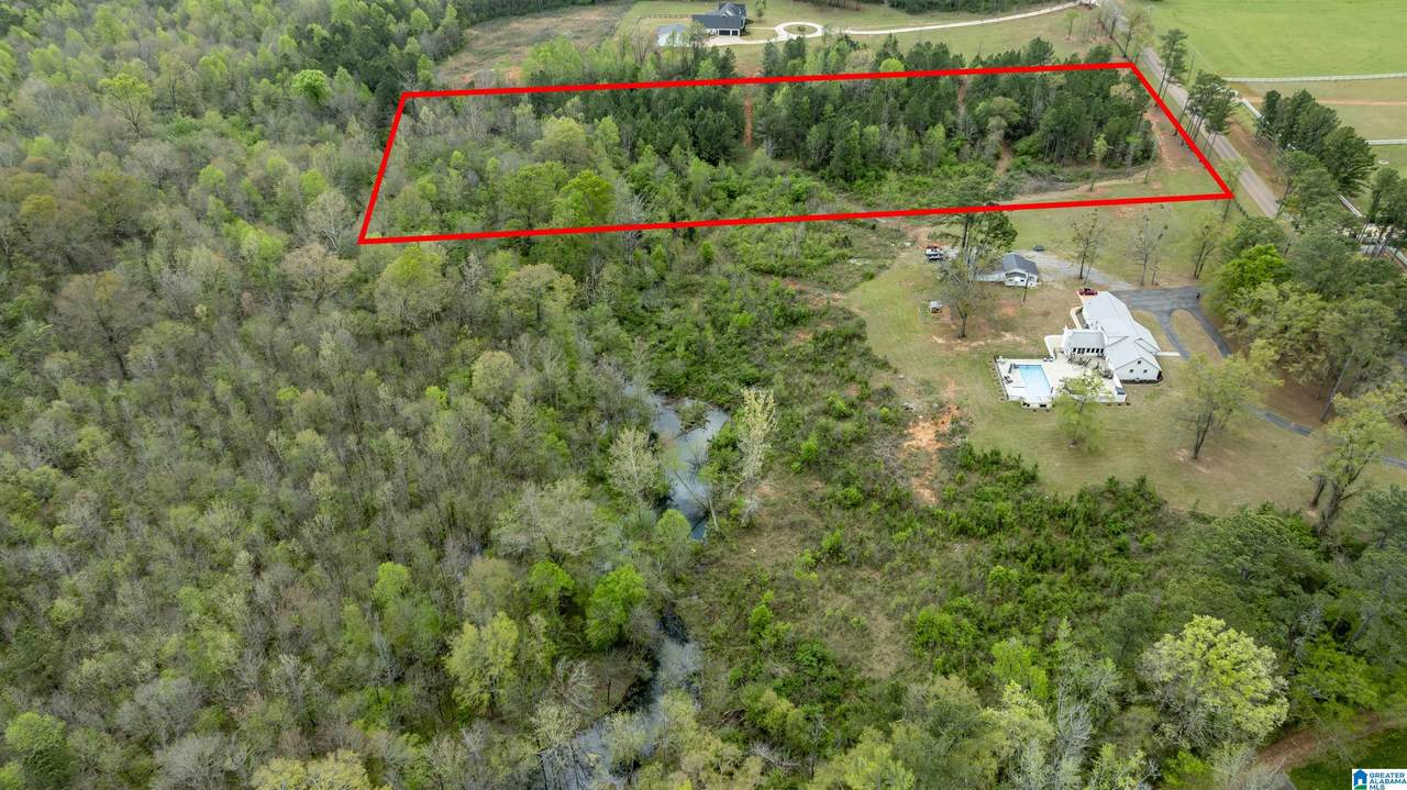0 County Road 107 - Photo 1