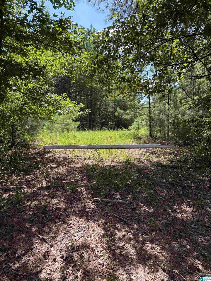  County Road 228 - Photo 1