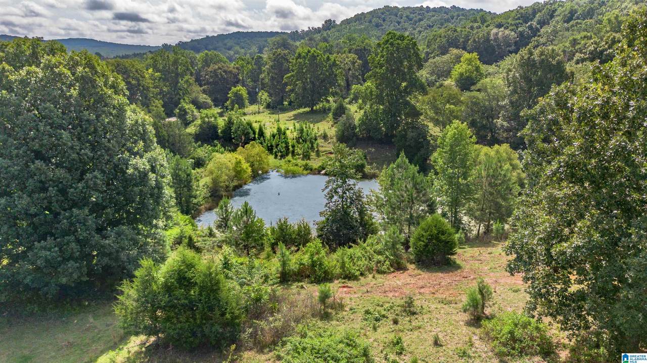 5967 County Road 19 - Photo 1