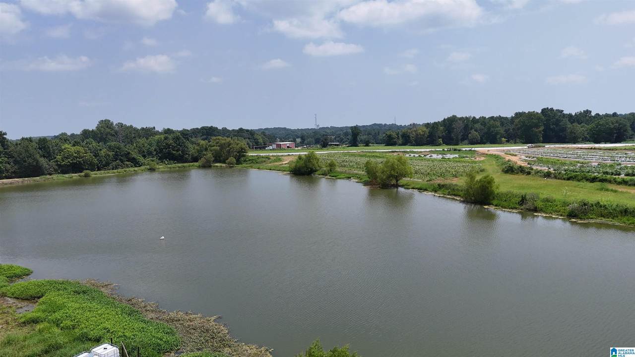 1780 County Road 42 - Photo 1