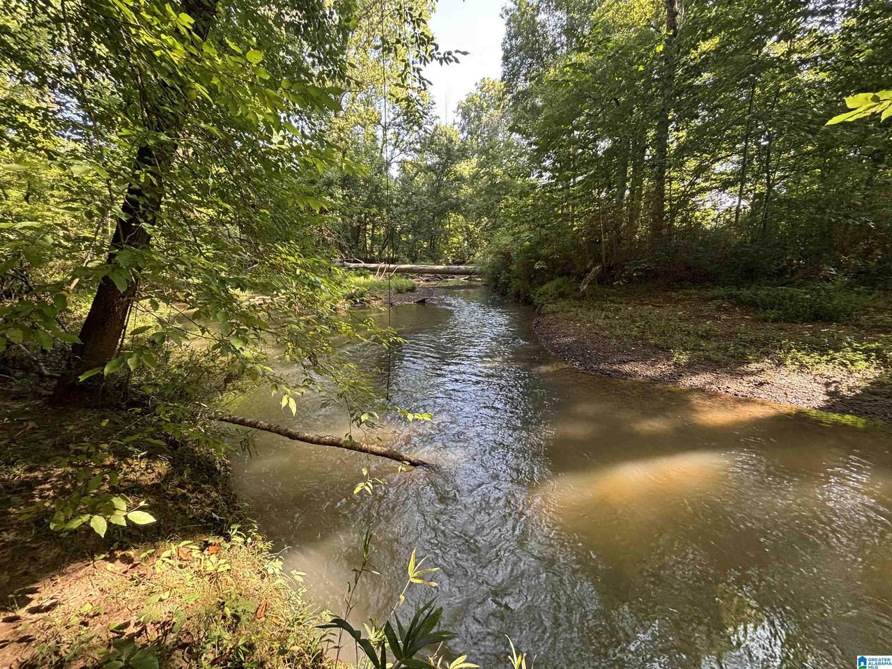 0 Alabama Highway 174 - Photo 1