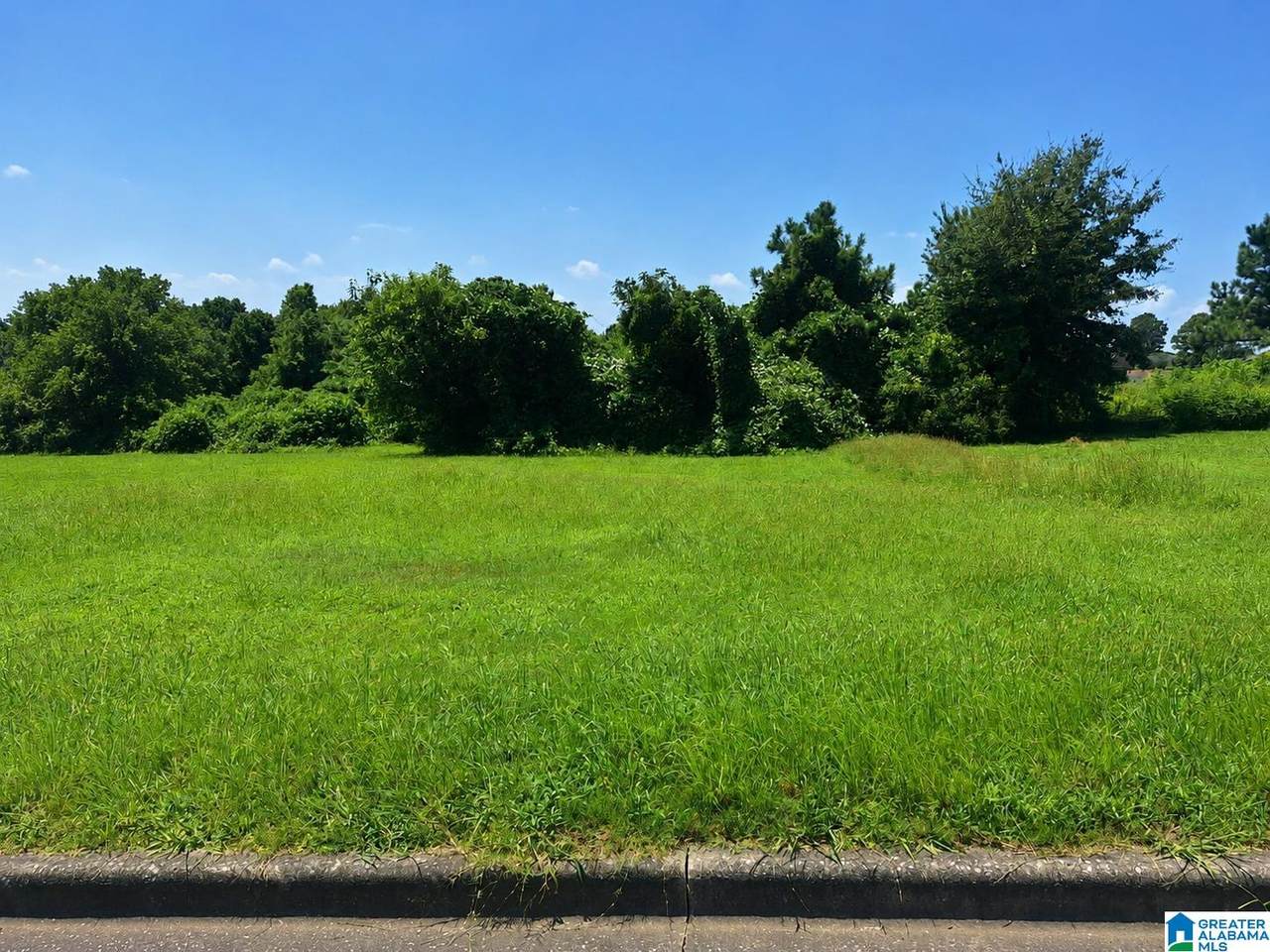 708 Lamplighter Circle - Photo 1