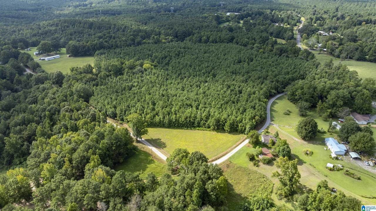 0 County Road 39 - Photo 1