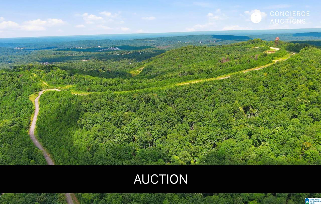 6522 Old Springville Road - Photo 1