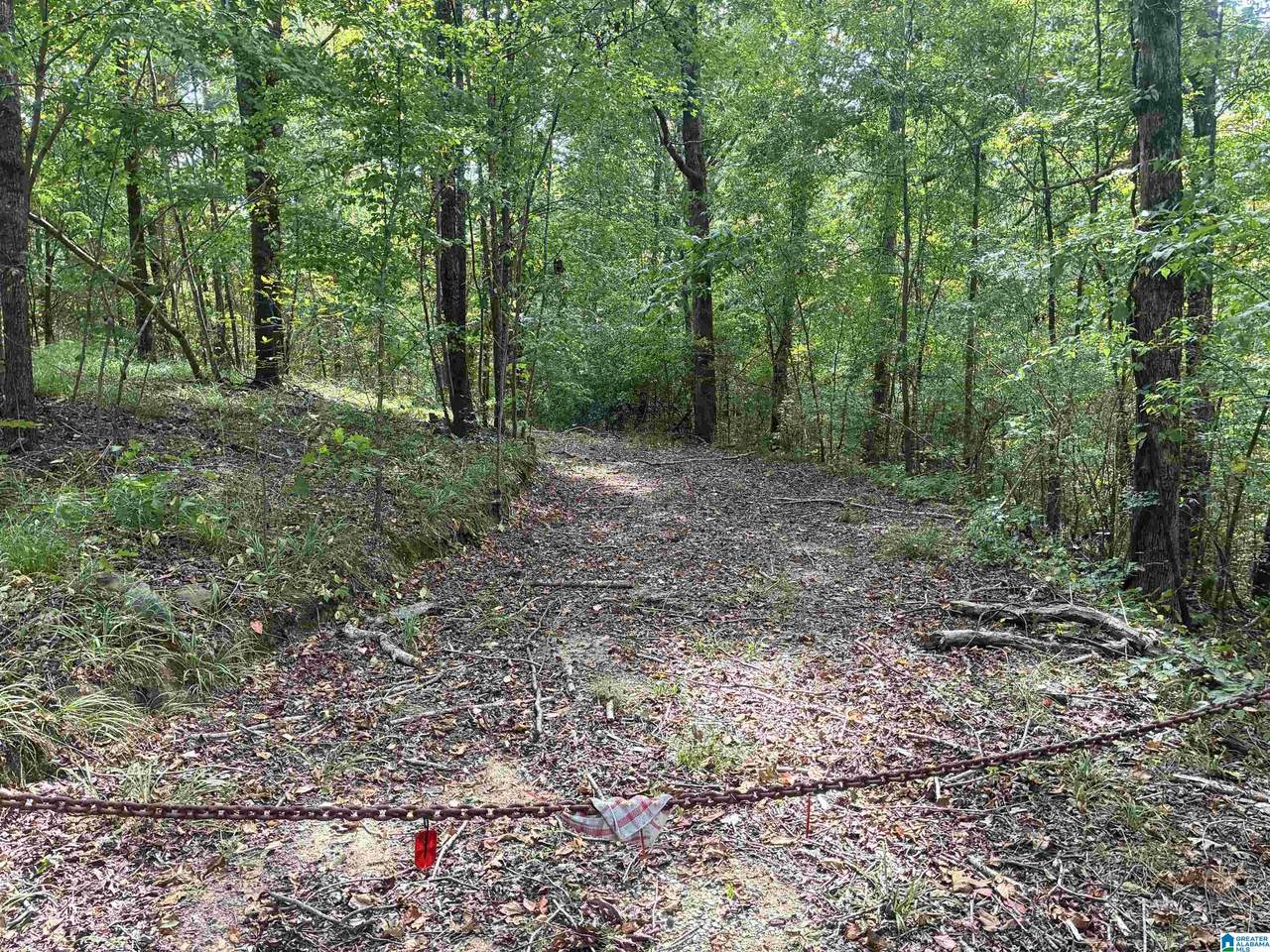 7274 Taylors Ferry Road - Photo 1