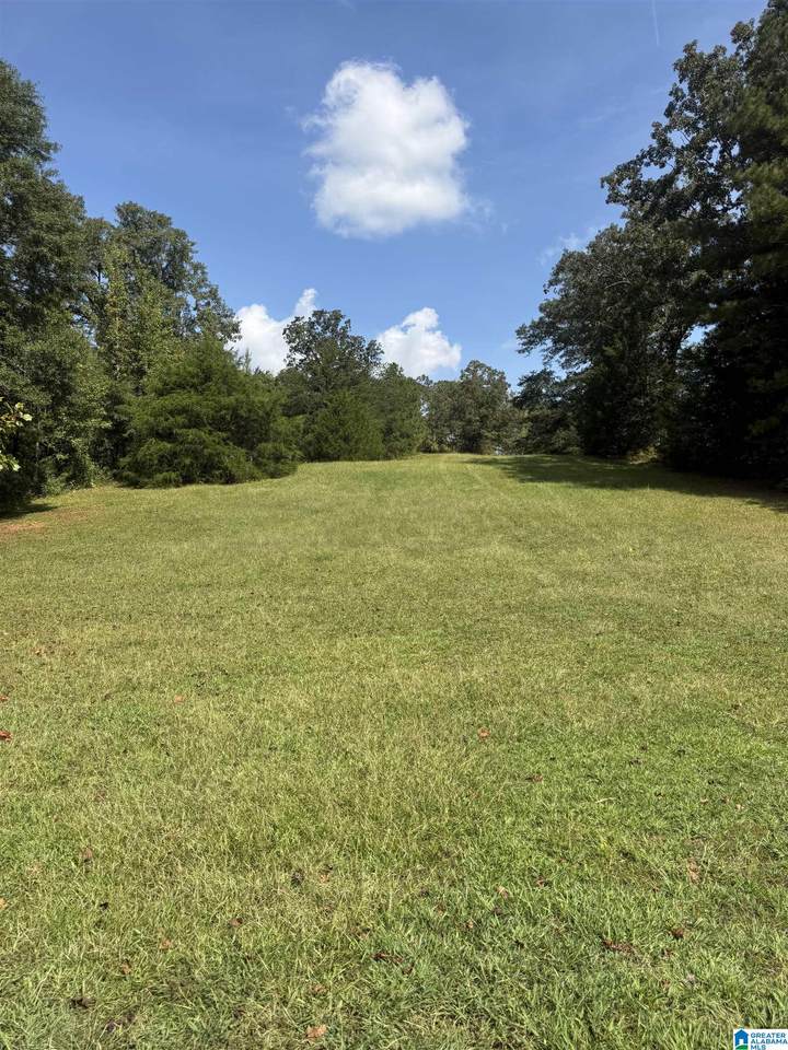 14.80 A County Road 269 - Photo 1