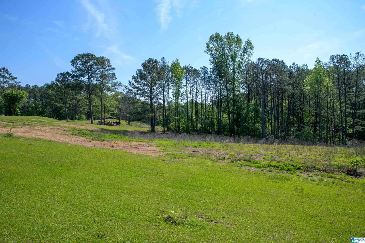 4240 Grimes Road - Photo 1