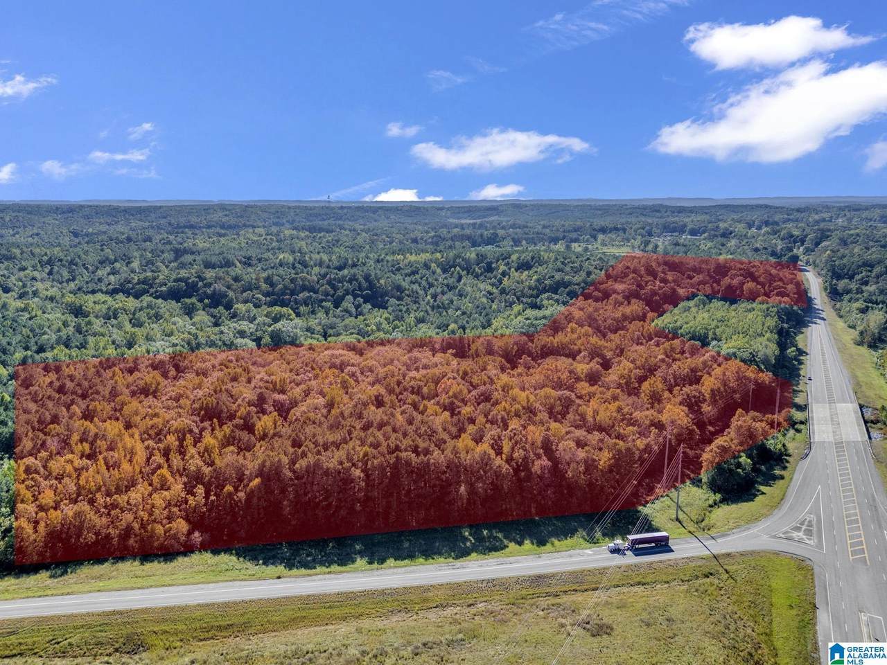  Highway 69 - Photo 1