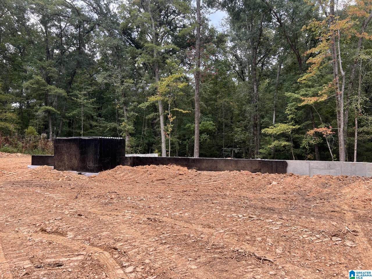 625 Highway 86 - Photo 1