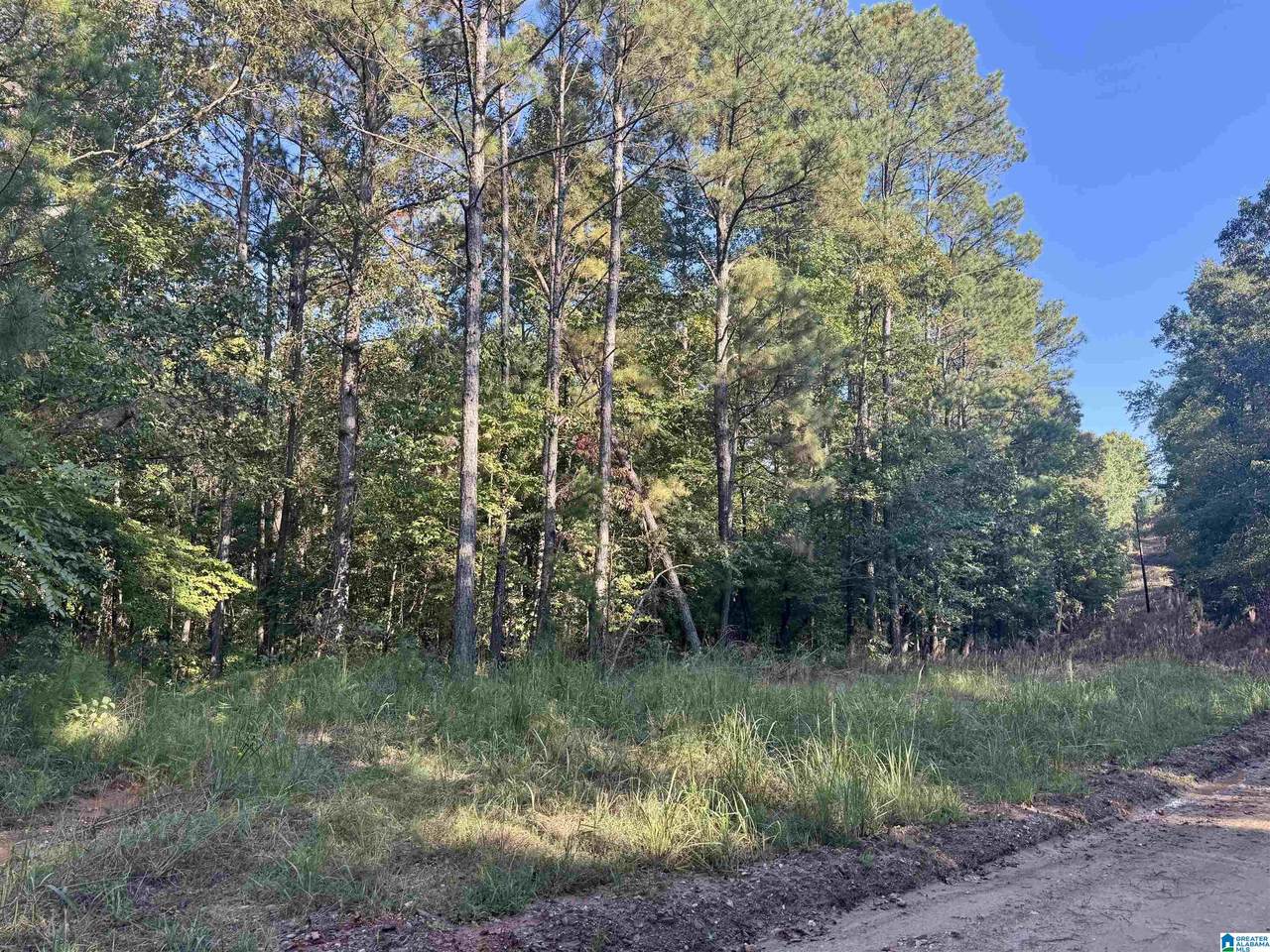  Lane Branch Road - Photo 1