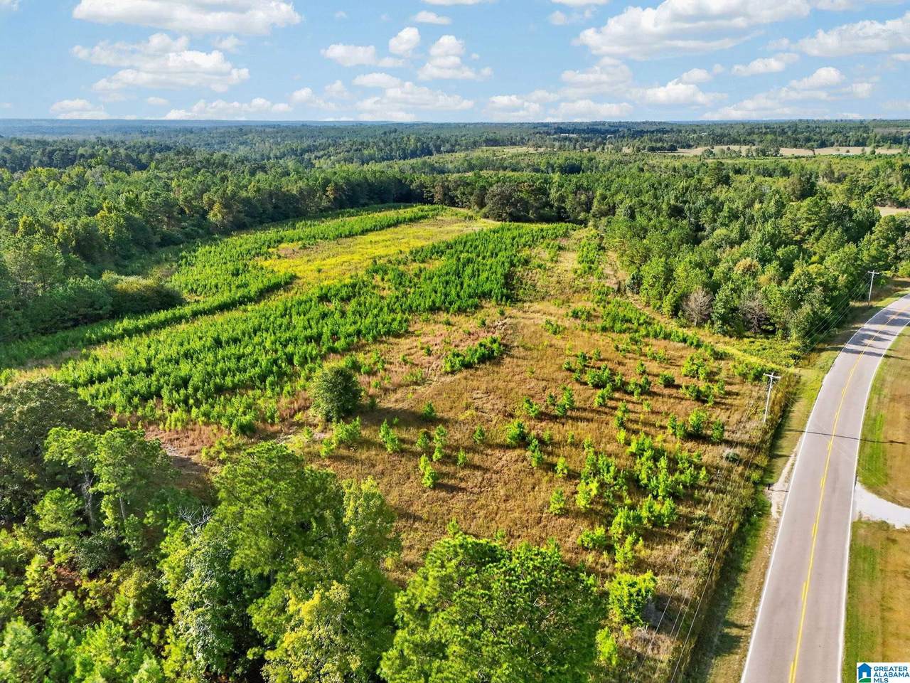 0 County Road 15 - Photo 1
