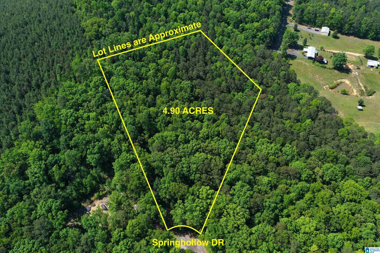 00007 Springhollow Road - Photo 1