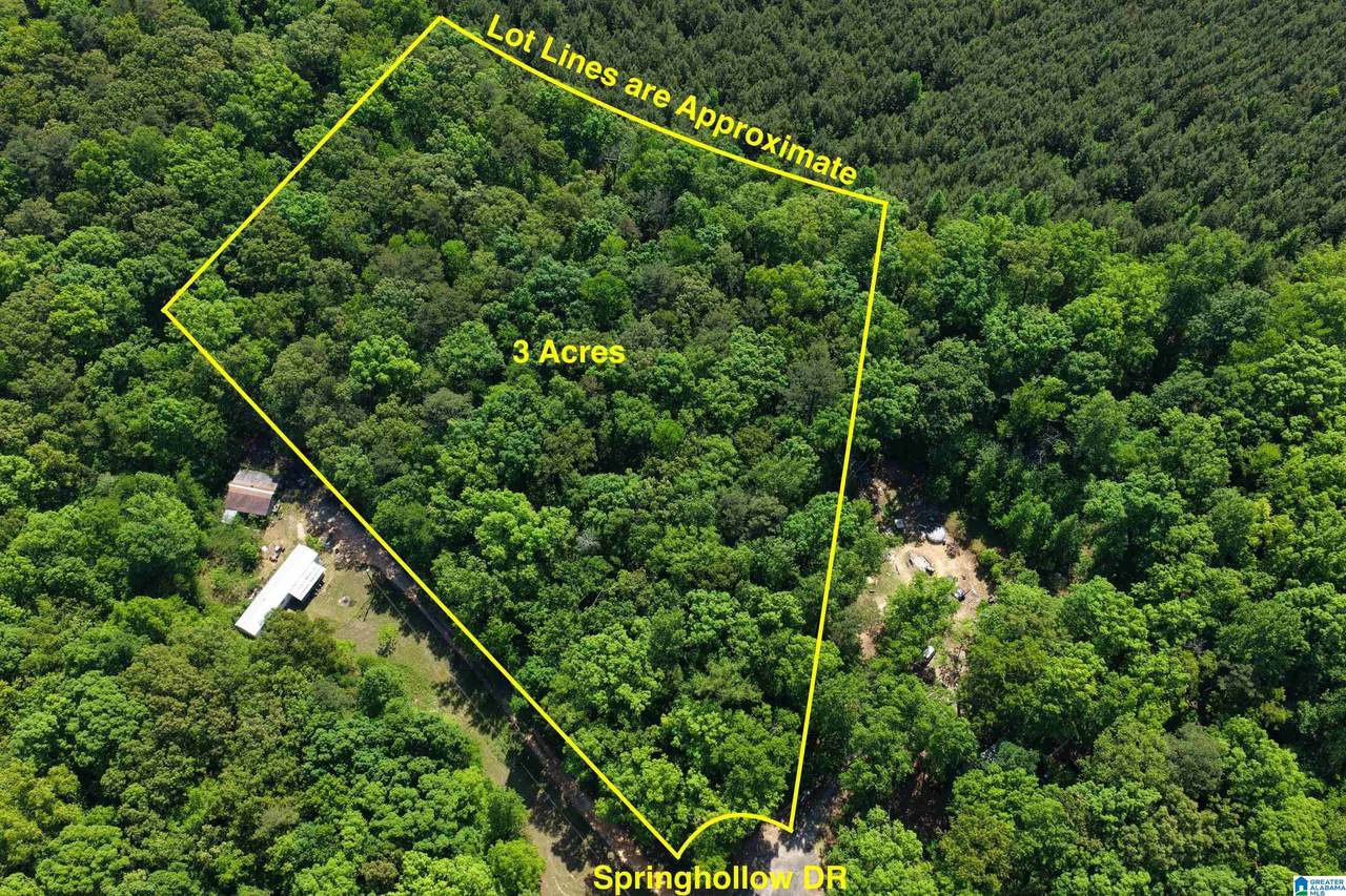 0009 Springhollow Road - Photo 1