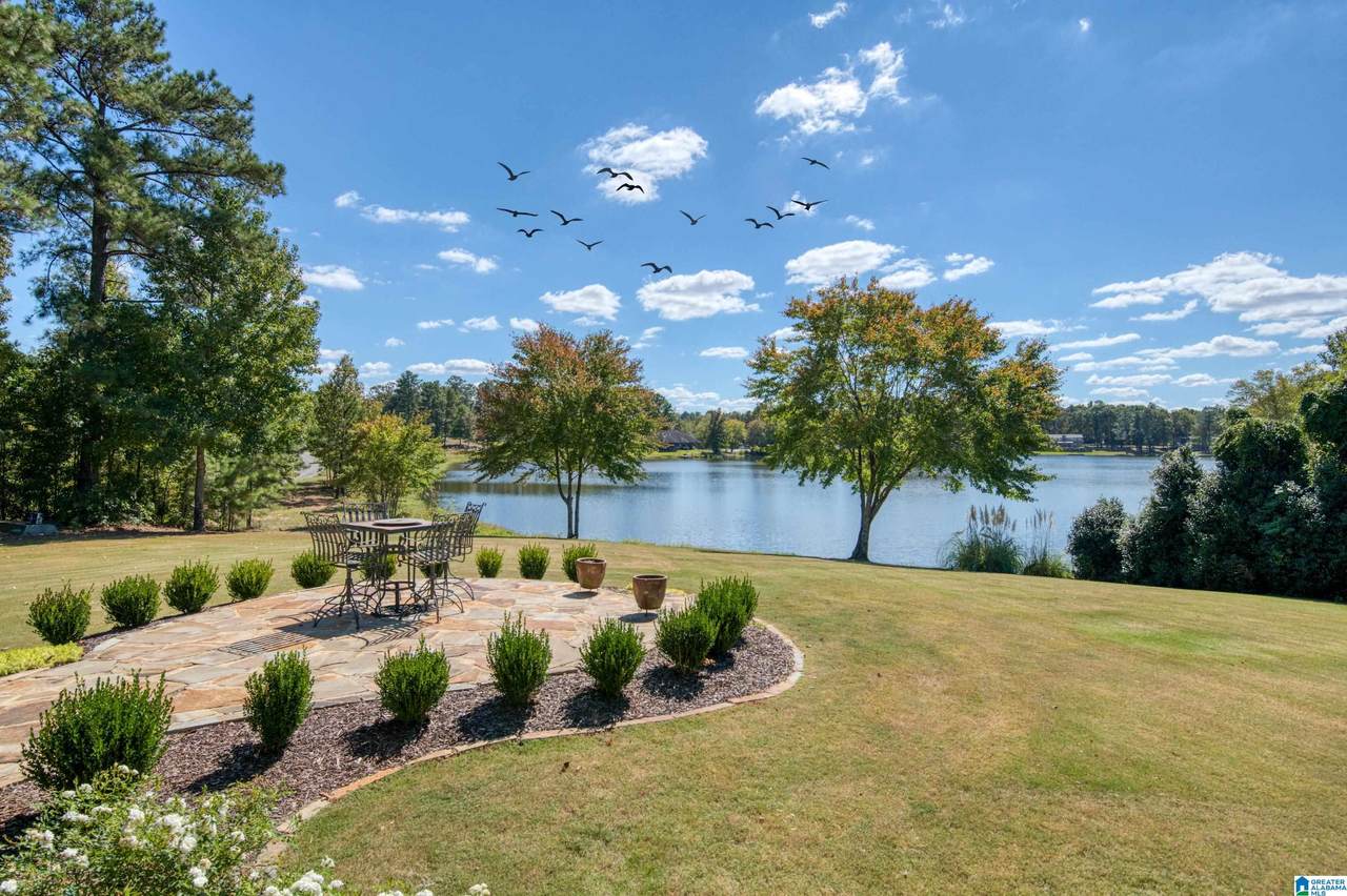 5785 High Forest Drive - Photo 1