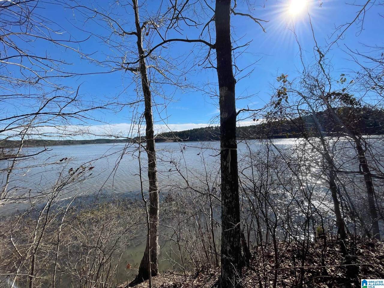 0 Stillwaters Trail - Photo 1