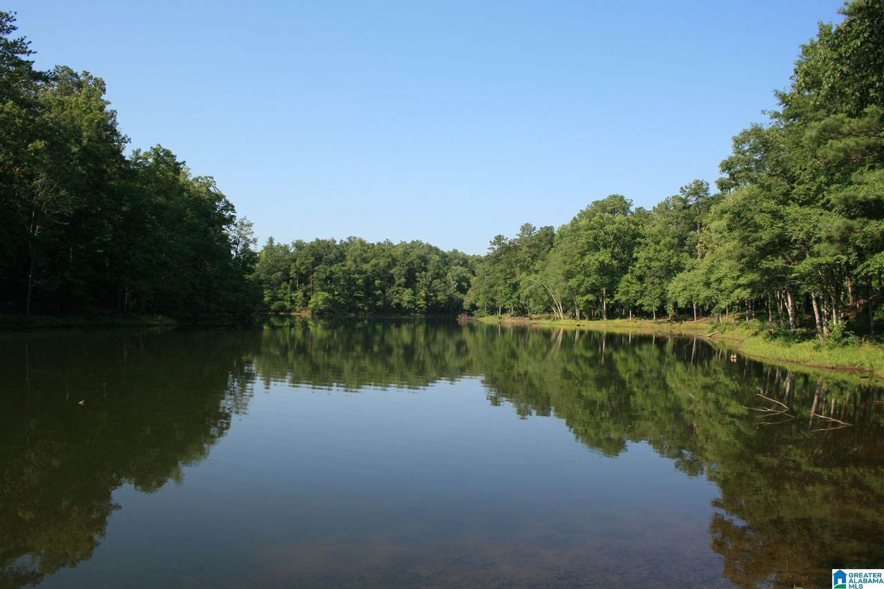 1321 Pine Mountain Trail - Photo 1