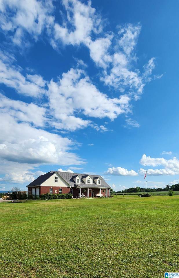 786 New Prospect Church Road - Photo 1