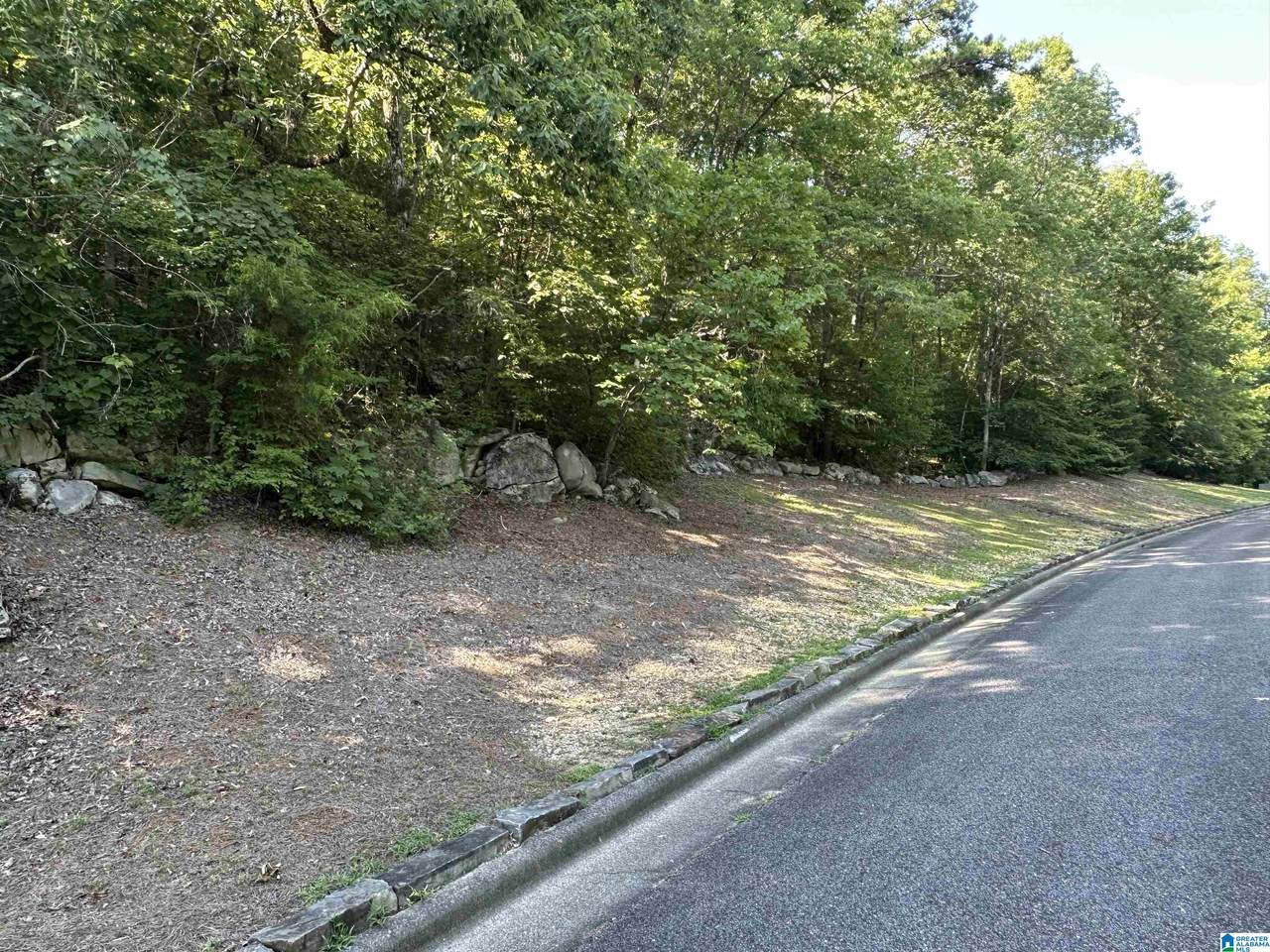 0 Bellerive Circle - Photo 1