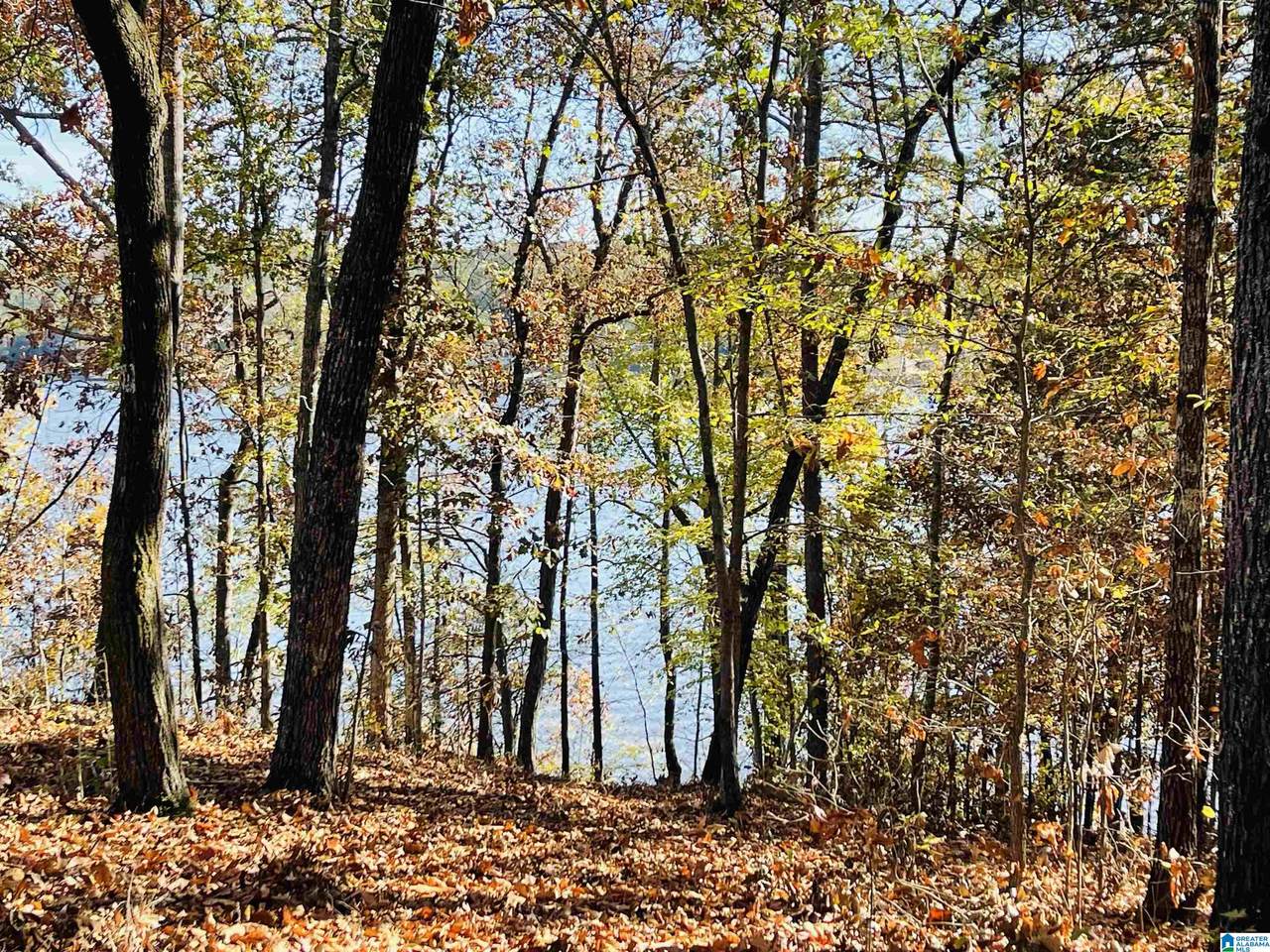 0 Ranch Marina Road - Photo 1