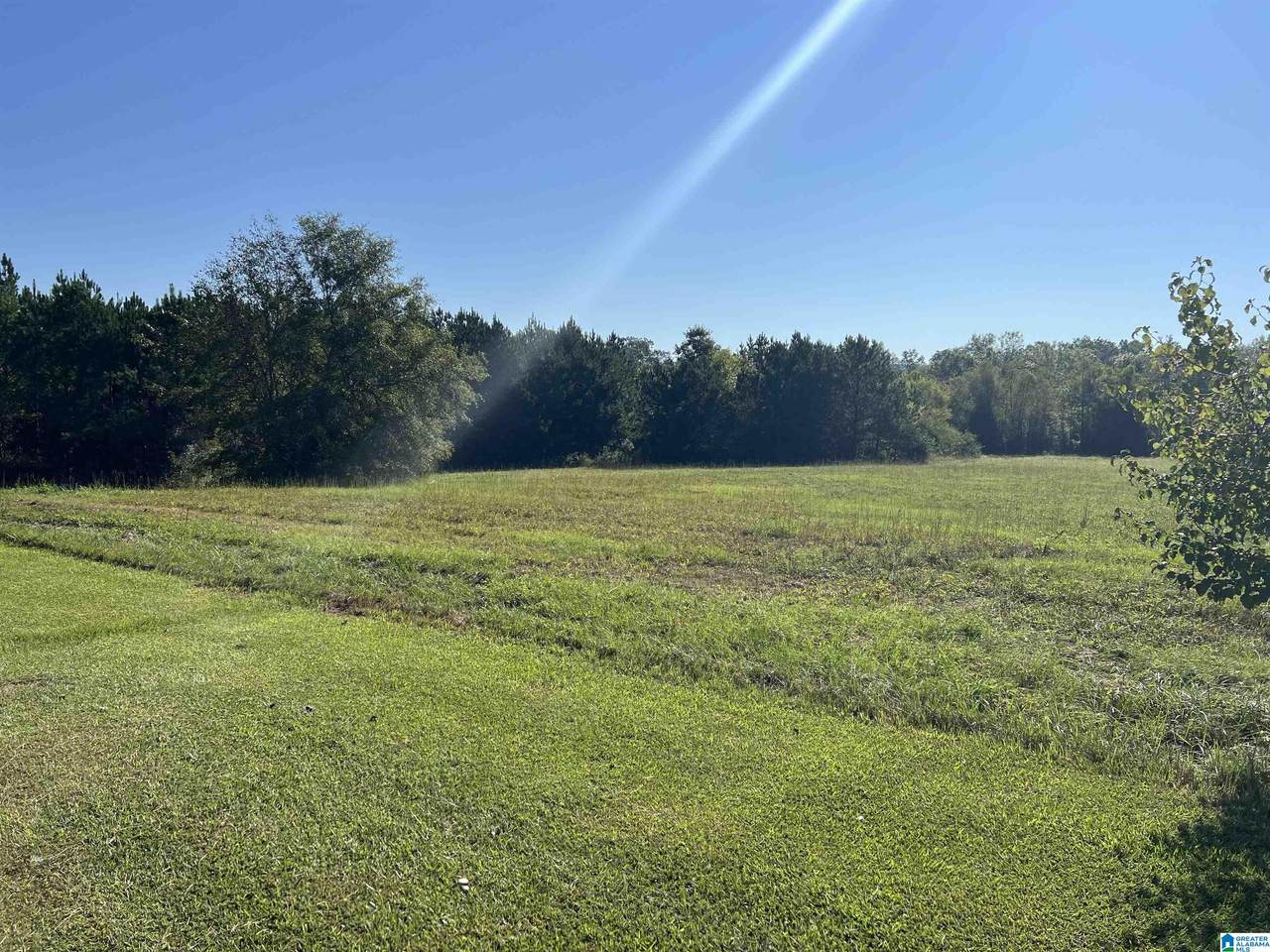 0 Us Hwy 231 - Photo 1