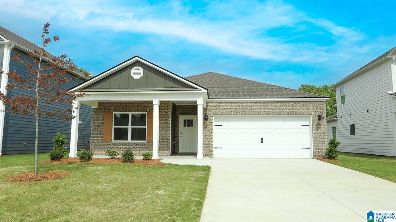 5171 Meadow Ridge Trail - Photo 1