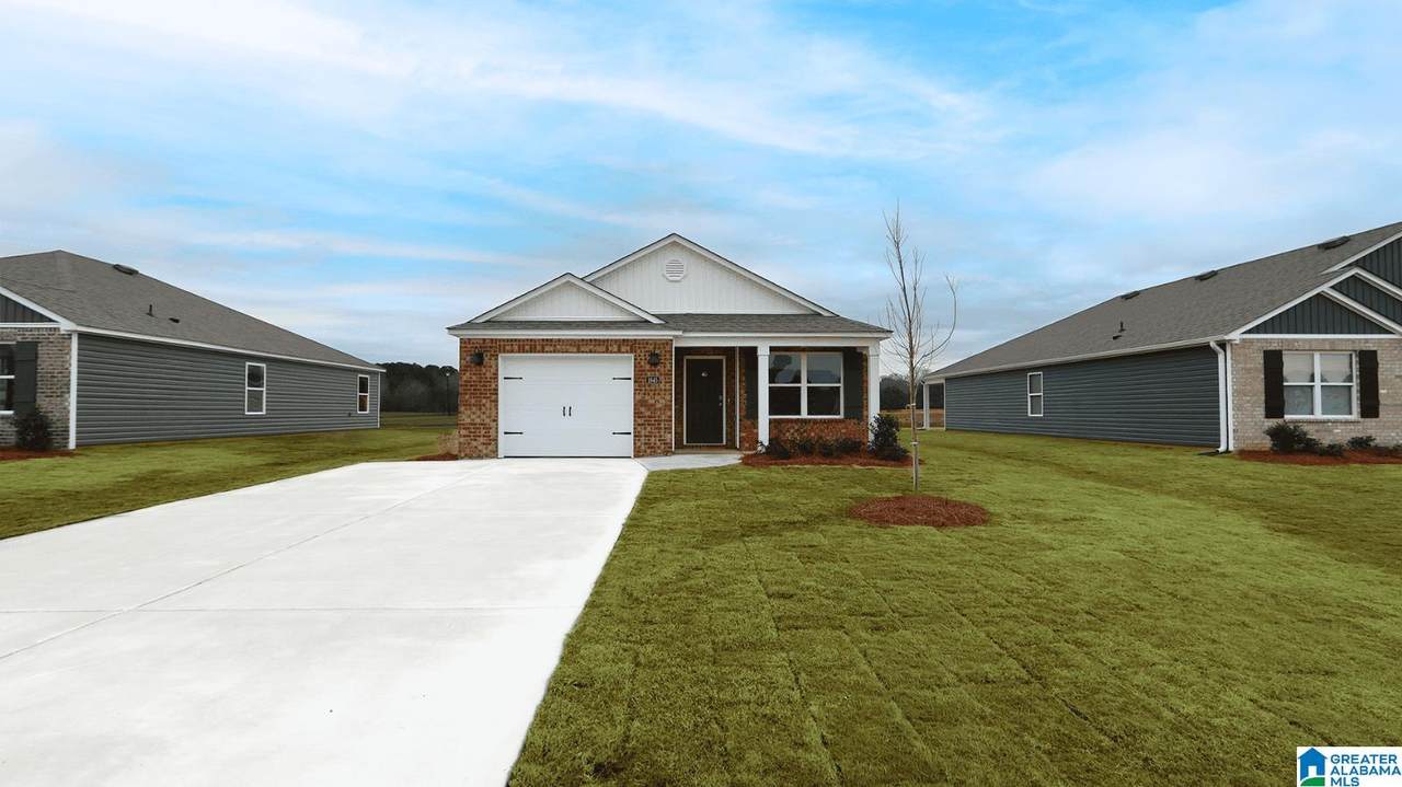 1645 Birch Bark Lane - Photo 1