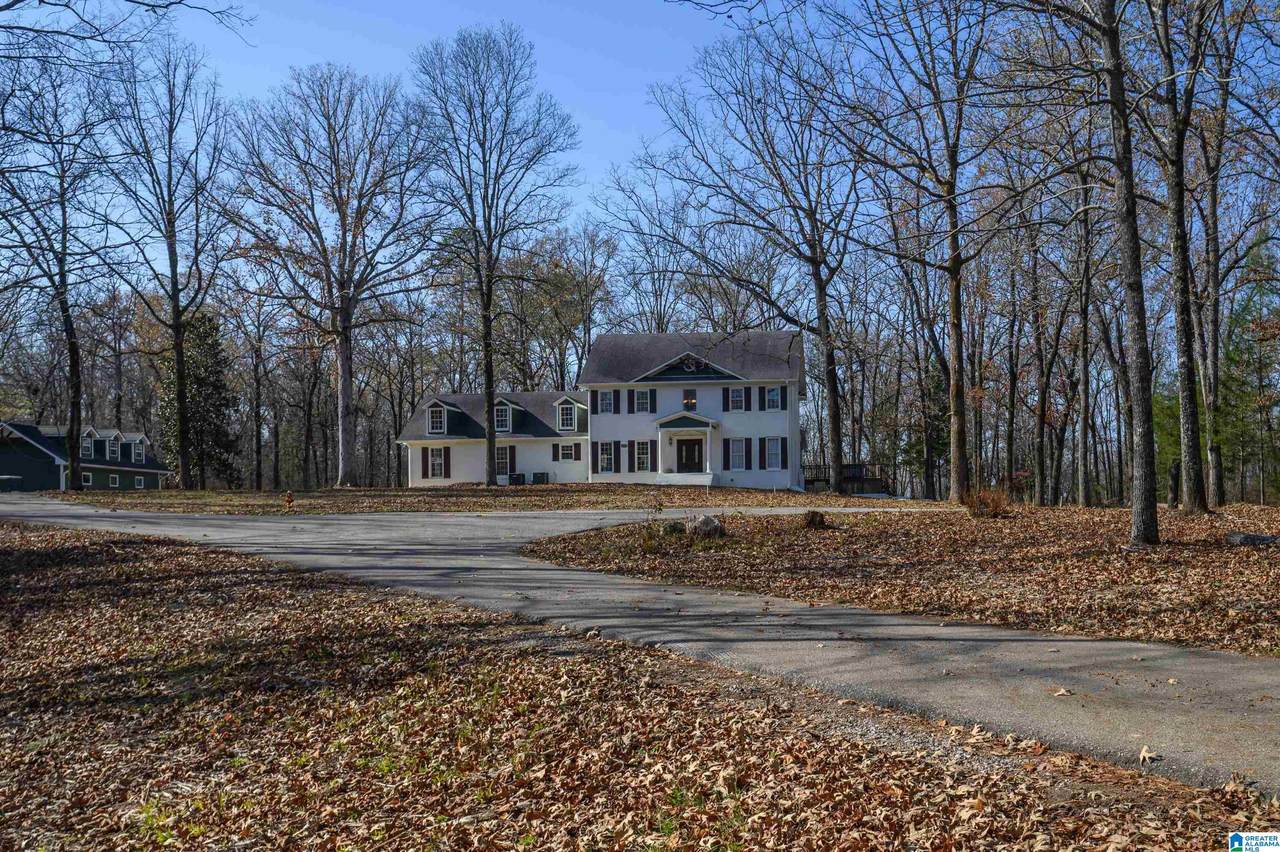 11123 County Road 73 - Photo 1