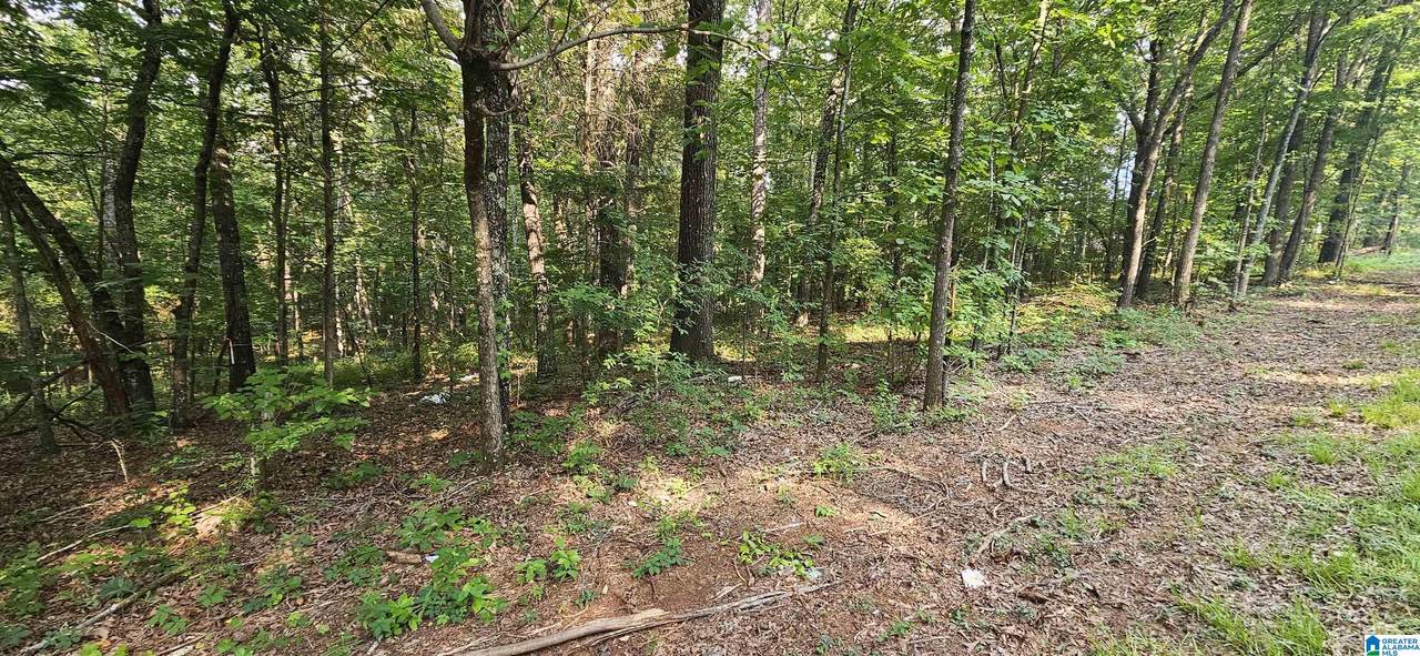  Funderburg Bend Road - Photo 1
