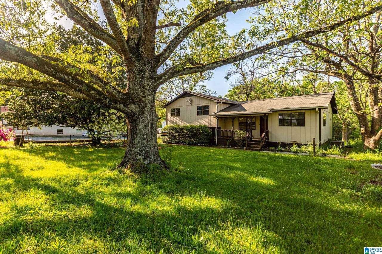 212 Highway 270 - Photo 1