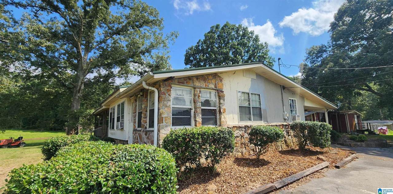 4204 County Road 29 - Photo 1