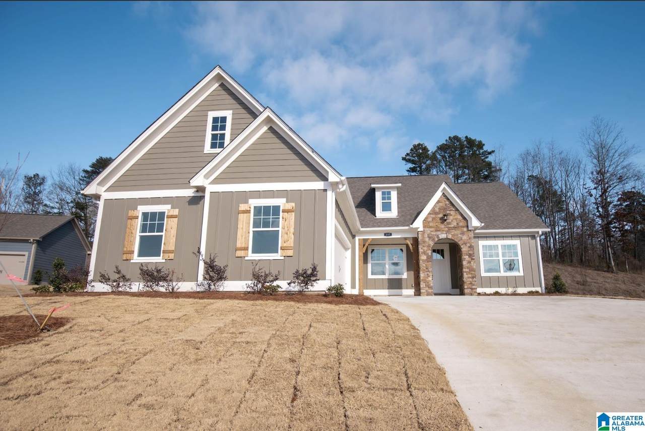 217 Sawmill Loop - Photo 1