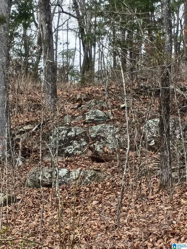  County Highway 26 - Photo 1