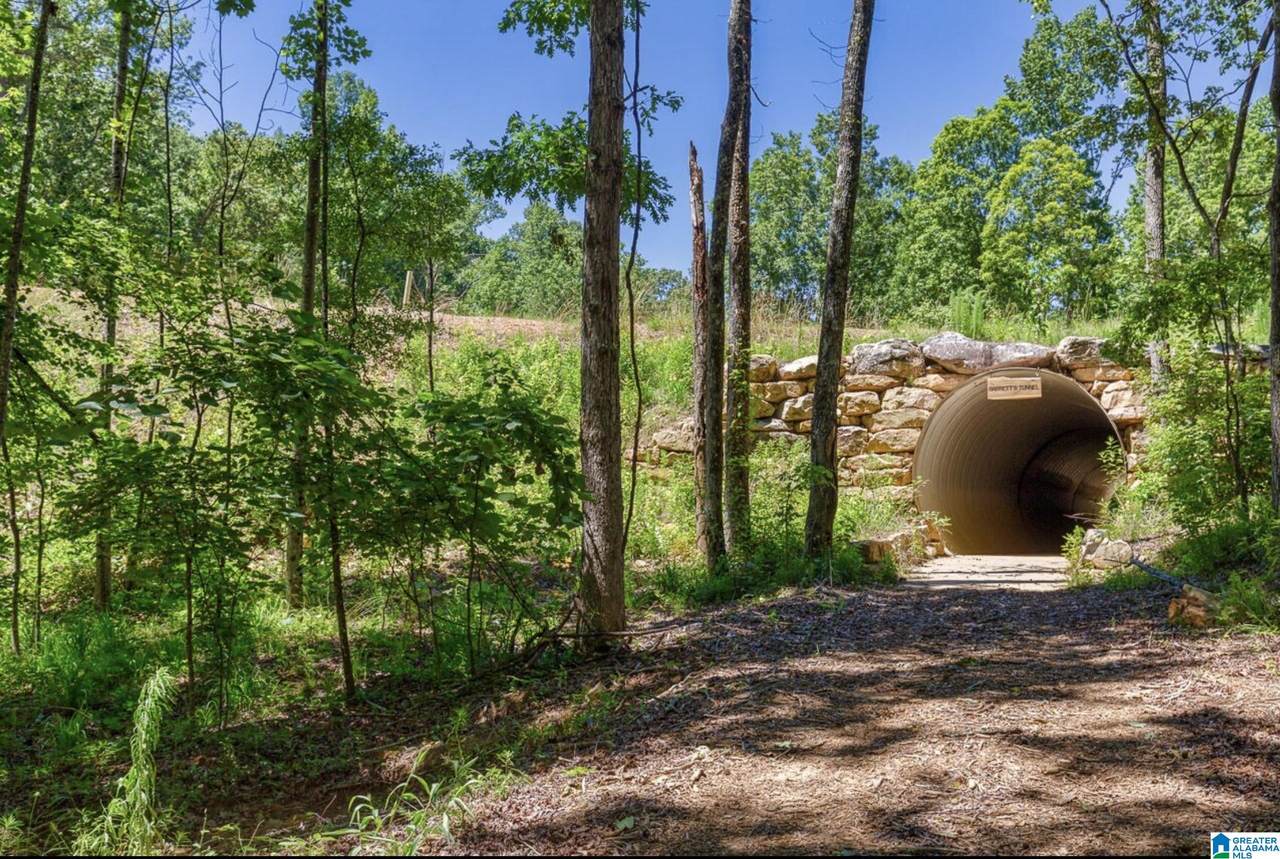 3095 Oakridge Way - Photo 1