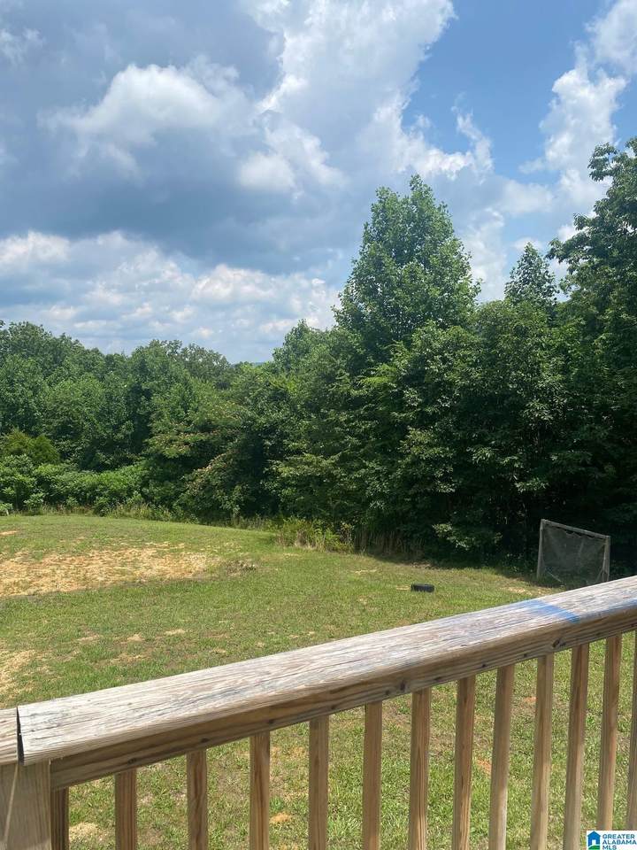 6001 Clay Palmerdale Road - Photo 1